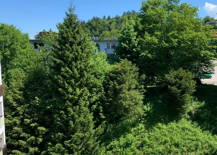 Panoramahaus 7152 公寓 巴特莱辛哈尔